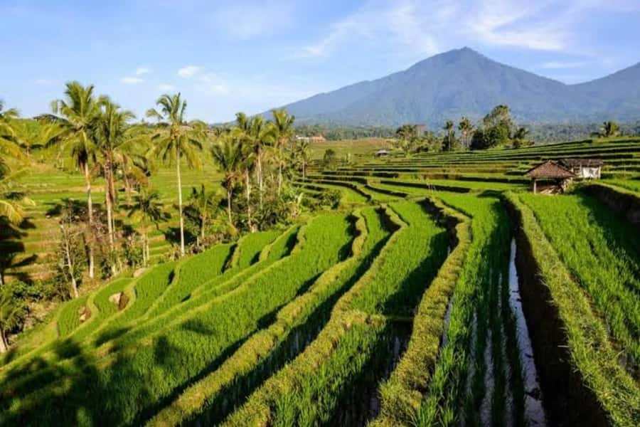 Bali: Private UNESCO World Heritage Sites Tour - Key points at a glance