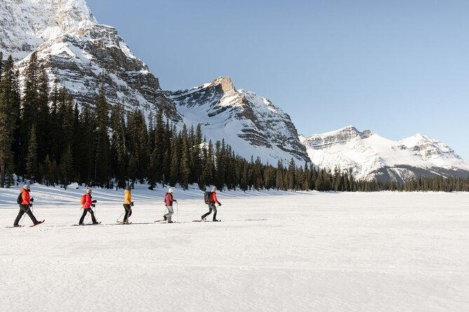 Banff Day Trip: Johnston Canyon, Fairmont Banff Springs, Gondola - Johnston Canyon and the waterfall walk