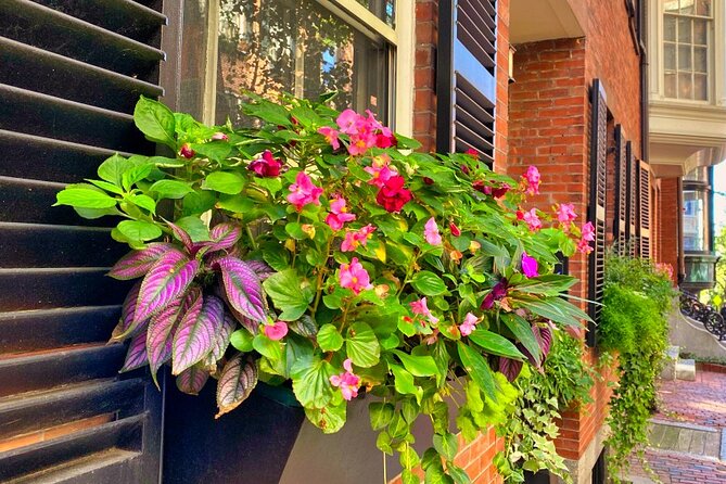 Beacon Hill Boston History + Photo Walking Tour (SMALL Group) - The stories behind the handsome facades