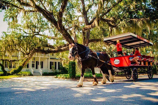 Beaufort’s #1 Horse & Carriage History Tour - Key points to know before booking