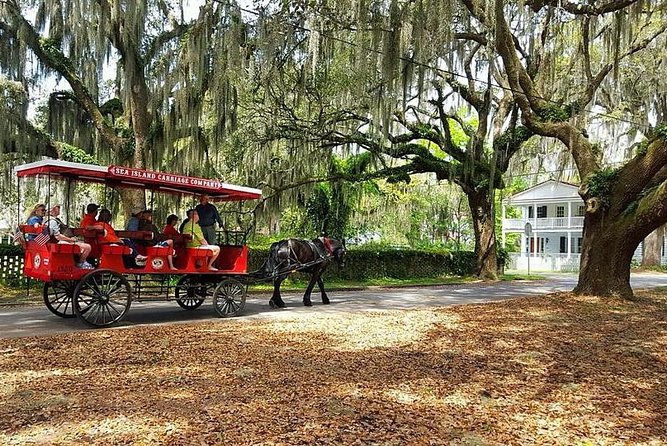 Beaufort’s #1 Horse & Carriage History Tour - The horses are part of the experience