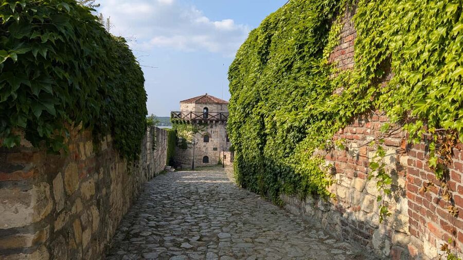 Belgrade: 3-Hour Serbian History Walking Tour - Student Park and the Church of Saint Michael