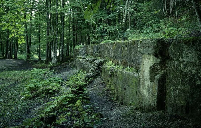 Berchtesgaden: Private Eagle's Nest & Obersalzberg WWII Tour - The Berghof ruins and the missing center of power