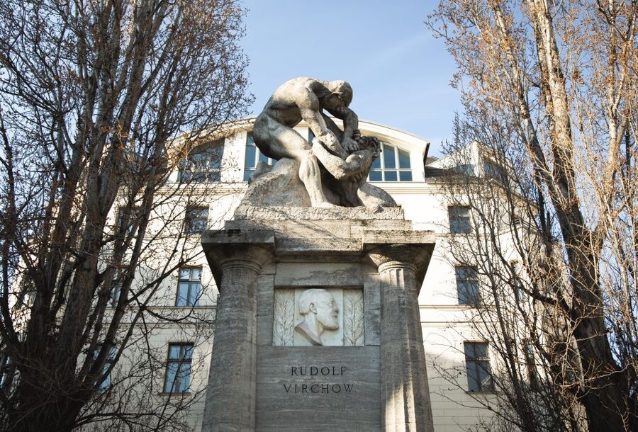 Berlin: Berlin Charité Guided History Tour - Is $28 a fair price?