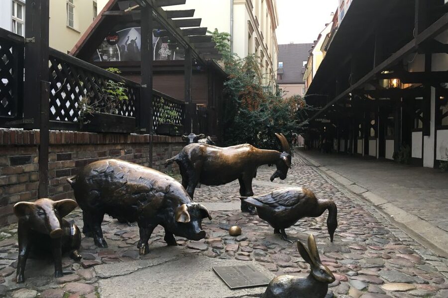 Best of Wroclaw 3-Hour History and Culture Walking Tour - Medieval streets and the changing shape of the city