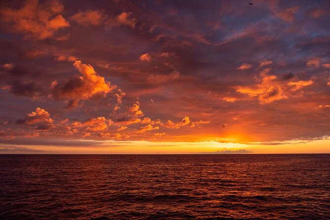 Big Island Historical Dinner Cruise to Kealakekua Bay - Who will enjoy this cruise most?