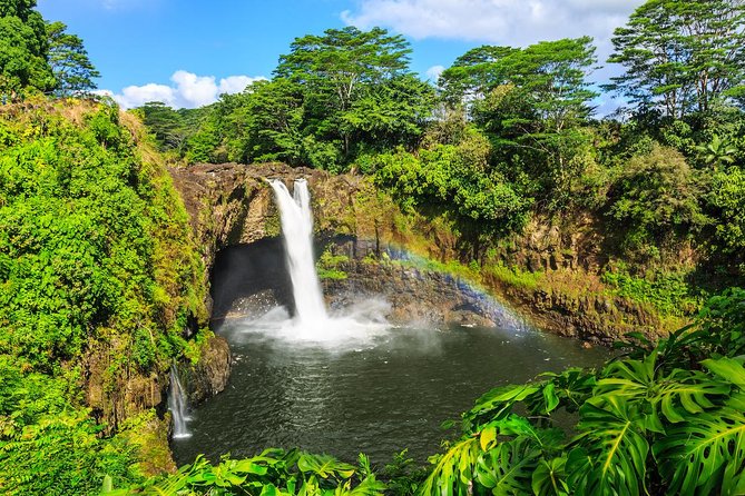 Big Island in a Day: Volcanoes Waterfalls Sightseeing and History - Kona coffee at Bay View Farm