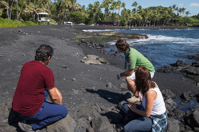 Big Island in a Day: Volcanoes Waterfalls Sightseeing and History - Hilo, Rainbow Falls, and Akaka Falls