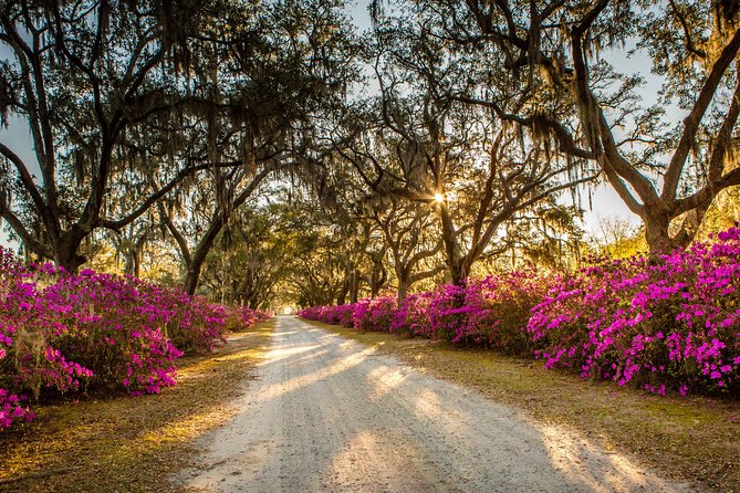 Bonaventure Cemetery & Wormsloe State Historic Site Tour - The guides shape the experience