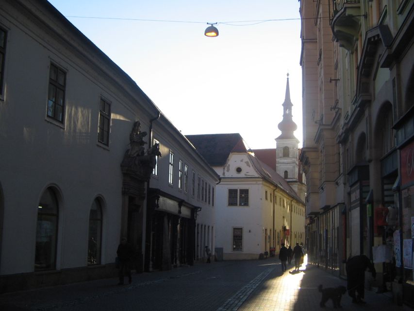 Brno: Historic Downtown Walking Tour - Cathedral of Saints Peter and Paul