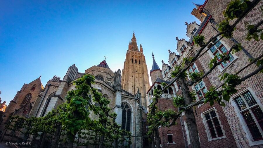Bruges: Private Historical Highlights Walking Tour - Church of Our Lady, St. John’s Hospital, and Gruuthuse Palace