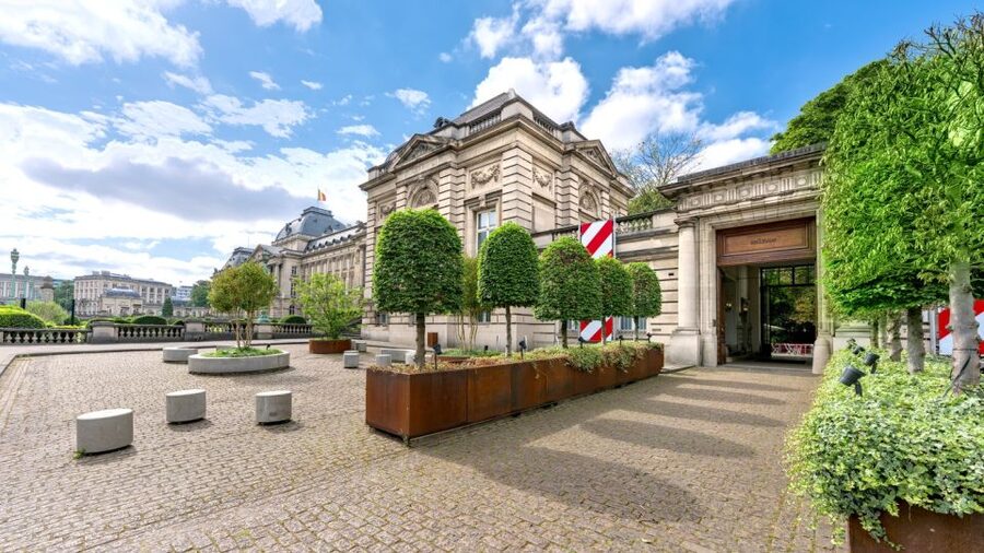 Brussels: BELvue Belgium History Museum Entry Ticket - A good Brussels stop beside the Royal Palace
