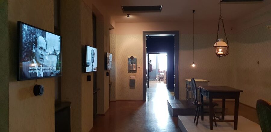 Budapest: Communist History Tour with House of Terror Option - Afternoon option: the House of Terror Museum