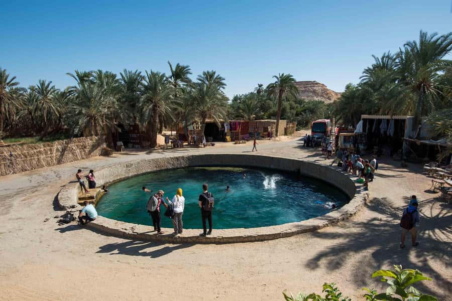 Cairo: 3-Day Siwa Oasis Tour, Safari, Camp & Historical Site - The first evening brings water, palms, and sunset