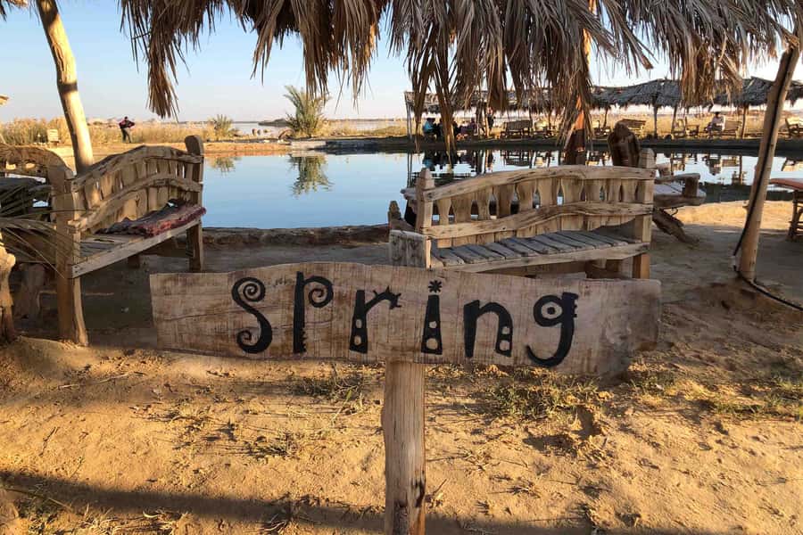 Cairo: 3-Day Siwa Oasis Tour, Safari, Camp & Historical Site - A desert camp dinner, with practical expectations