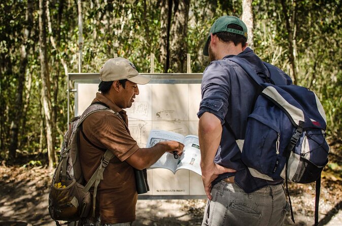 Calakmul Ancient Maya City Tour - From Campeche - Wildlife sightings are a bonus, not the main promise