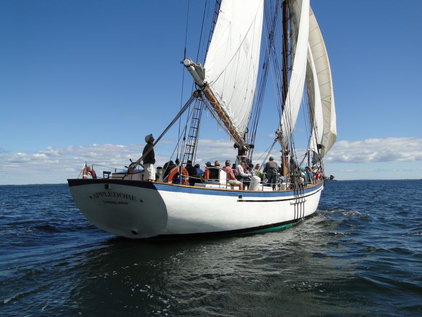Camden: Historic Schooner Day Sailing Trip - What you might see from the deck