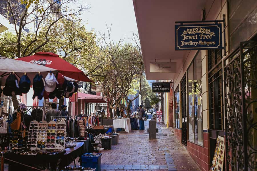 Cape Town: Art, Culture & History Walking Tour - The Company’s Garden, the Slave Lodge, and public memory