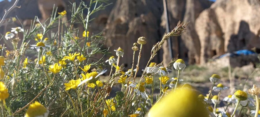Cappadocia: Archaeological Green Tour with Expert Guide - Guides, vehicles, and the rhythm of the day