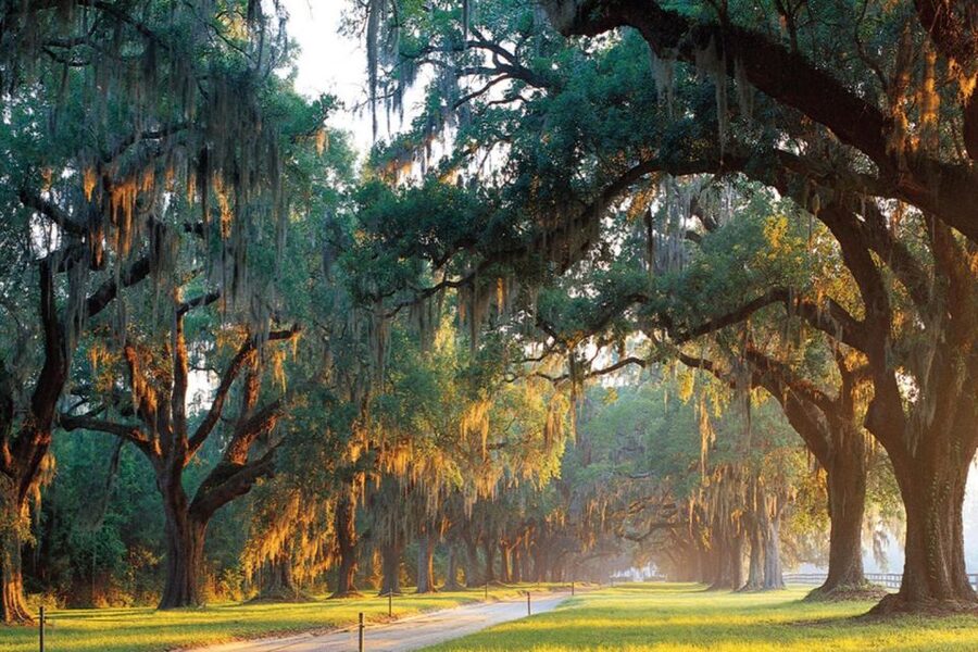 Charleston: Boone Hall & Historic City Tour Combo - How the 270-minute schedule feels
