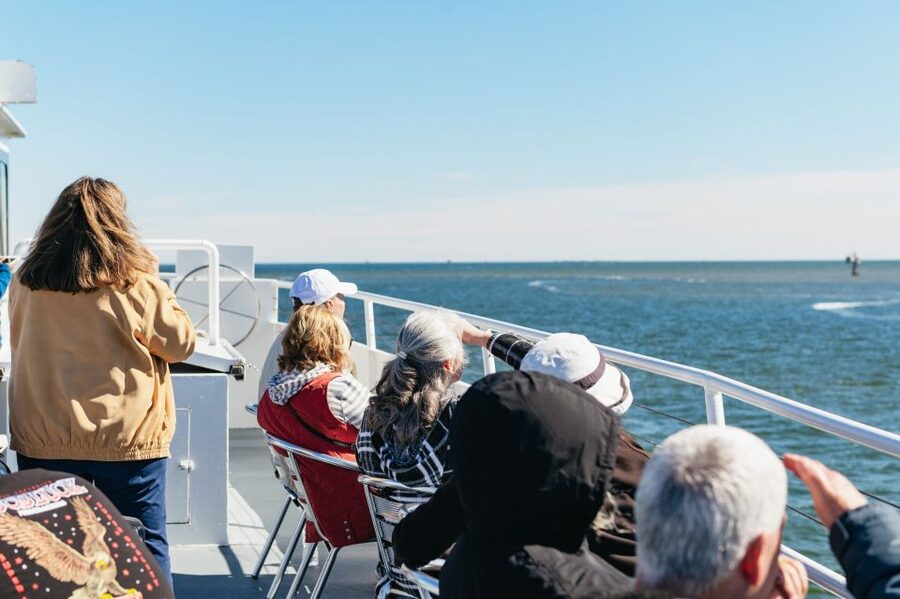 Charleston: Daytime or Sunset Historic Harbor Cruise - Fort Sumter: the central historical sight