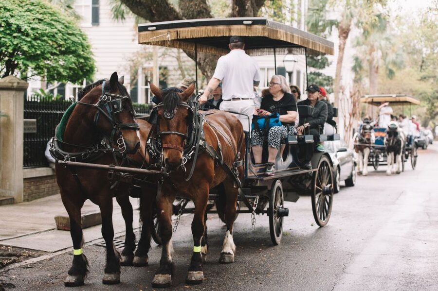 Charleston:Evening Haunted History Horse-Drawn Carriage Tour - A ghostly introduction to Charleston’s old streets