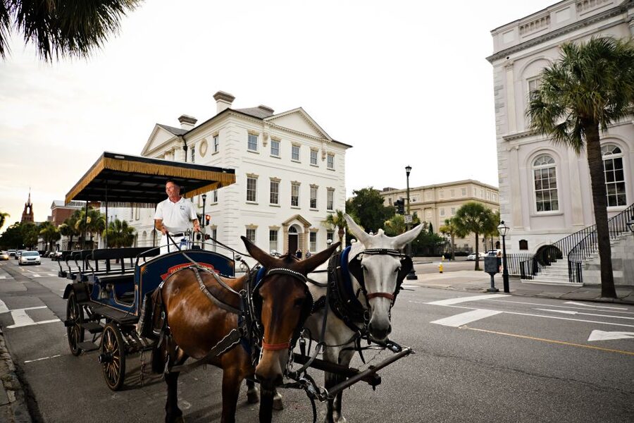 Charleston:Evening Haunted History Horse-Drawn Carriage Tour - Churches, cemeteries, mansions, and haunted homes