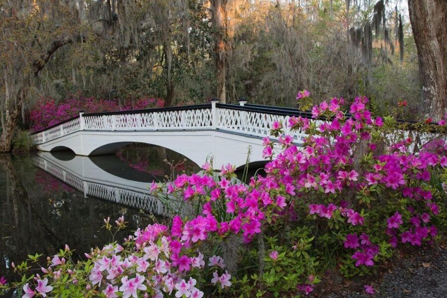 Charleston: Historic City Tour & Magnolia Plantation Combo - The guides can shape the day