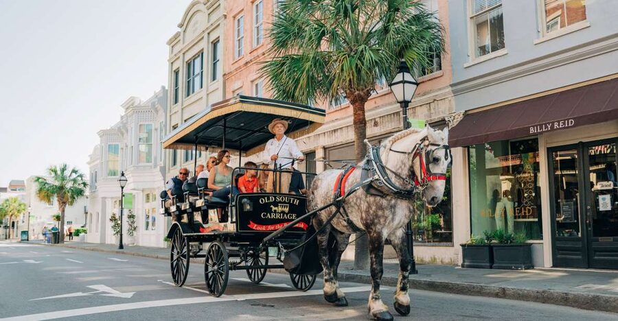 Charleston: Historical Downtown Tour by Horse-drawn Carriage - Charleston Harbor and the Old City Market