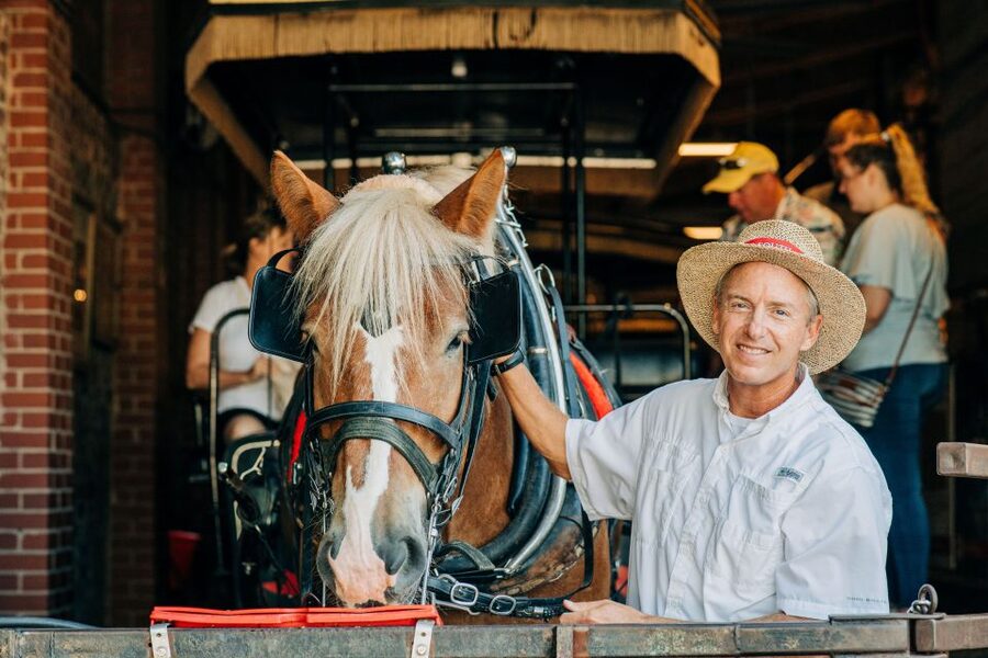 Charleston: Historical Downtown Tour by Horse-drawn Carriage - The guides make or break the hour