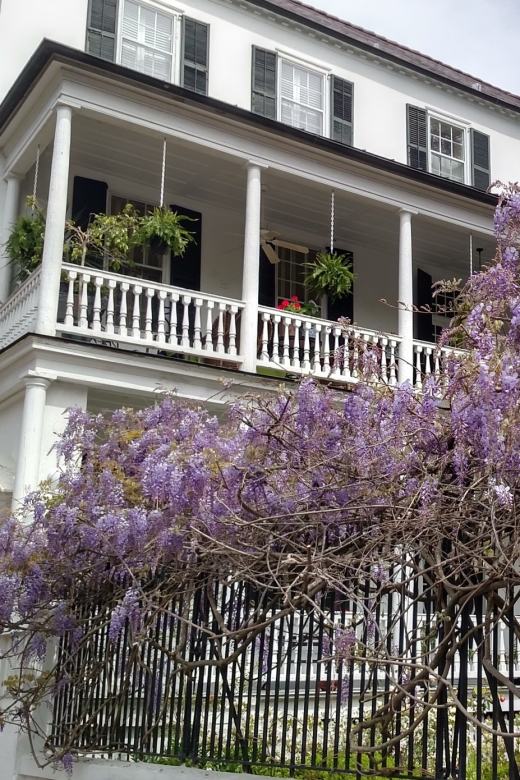 Charleston: Historical Walking Tour with Storytelling - Starting beside the Old Exchange and Provost Dungeon