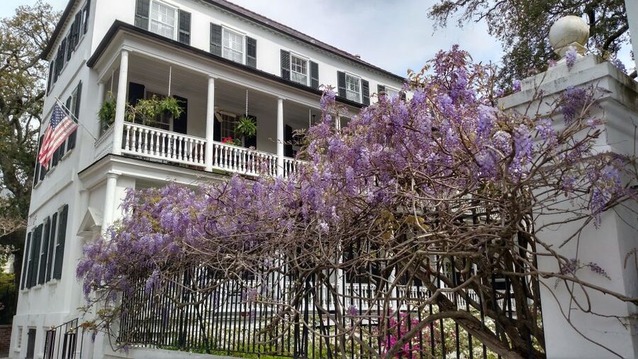Charleston: Historical Walking Tour with Storytelling - George Washington, Thomas Jefferson, and the founding of America