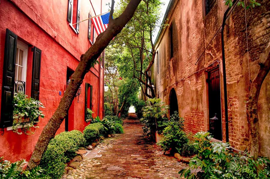 Charleston: History and Architecture Guided Walking Tour - Three alleys that reward looking twice