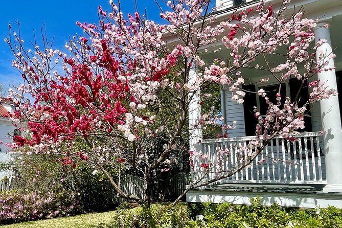 Charleston History Tour / - A Constitution-era beginning