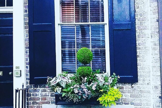 Charleston History Tour - Small Groups Only - History & Alleyways - Rainbow Row and Charleston’s postcard view