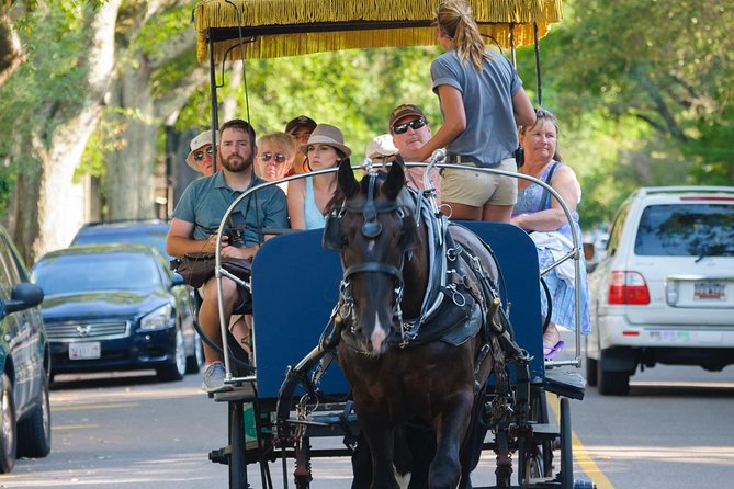 Charleston Horse & Carriage Historic Sightseeing Tour - Beginning at Charleston City Market