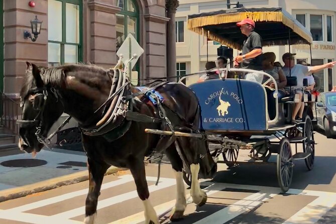 Charleston Horse & Carriage Historic Sightseeing Tour - Rainbow Row and Charleston’s famous façades