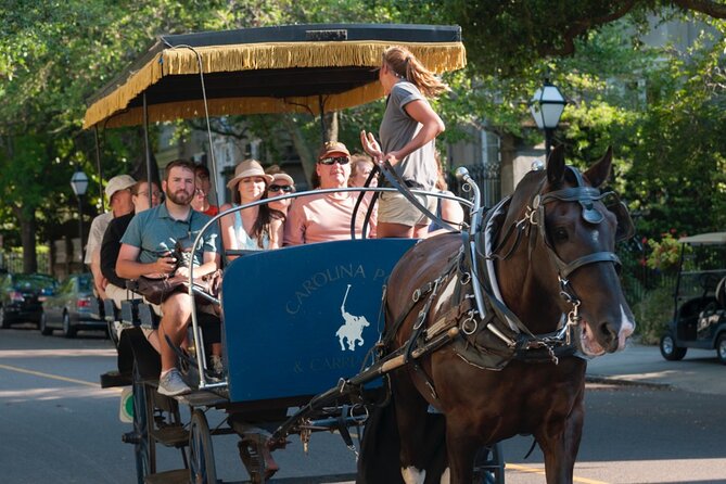 Charleston Horse & Carriage Historic Sightseeing Tour - St. Philip’s Church and the Holy City’s steeples