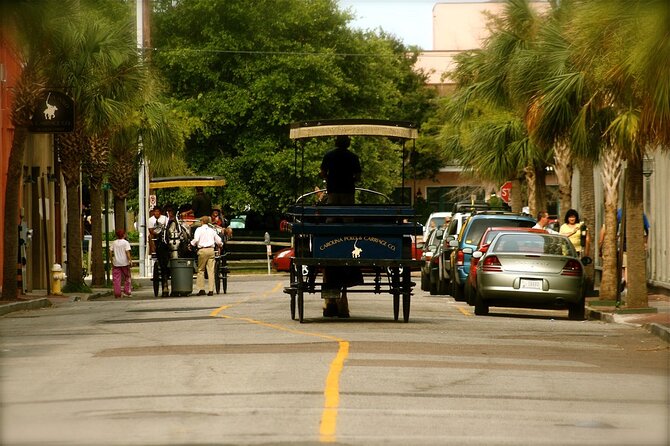 Charleston Horse & Carriage Historic Sightseeing Tour - Guides, storytelling, and the sound problem