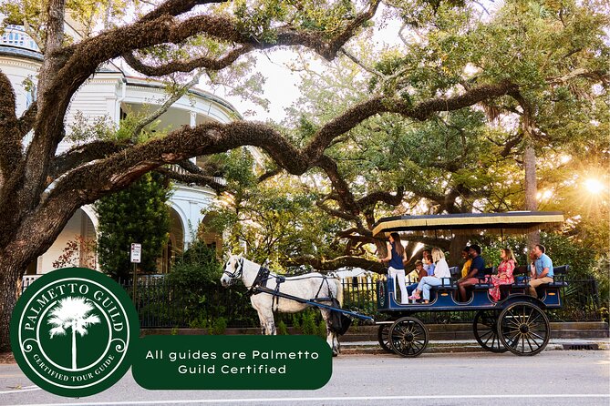 Charleston Horse-Drawn Carriage Tour: Explore Historic Charleston - A city route chosen for you