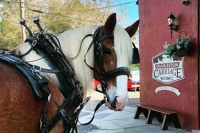 Charleston's Historic Residential Horse and Carriage Tour - Starting at 20 Anson Street with the horses