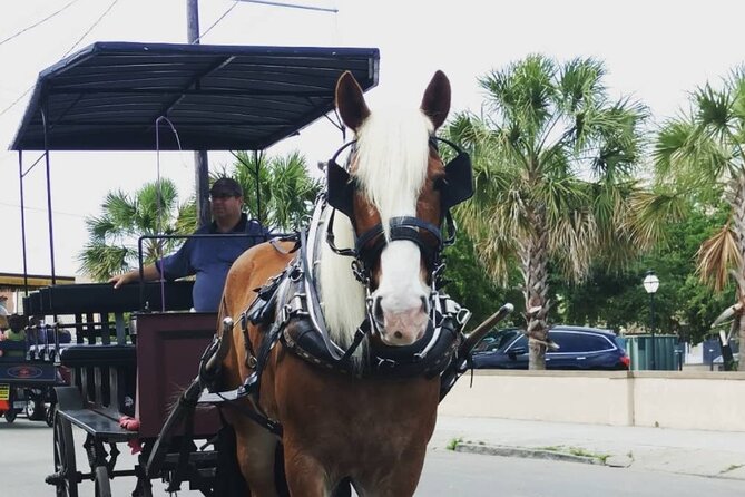 Charleston's Historic Residential Horse and Carriage Tour - What you will see along the route