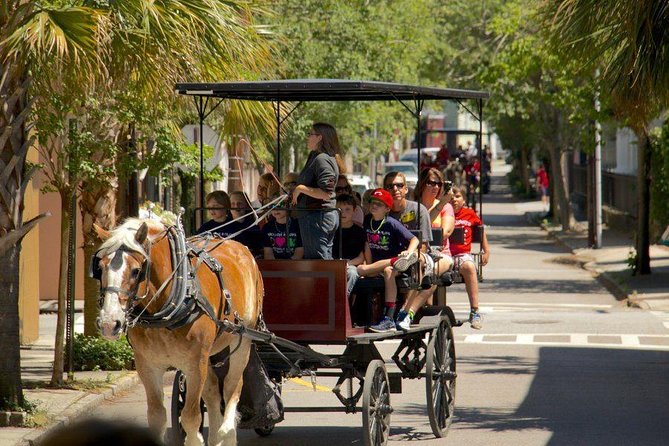 Charleston's Historic Residential Horse and Carriage Tour - The guides make or break the hour