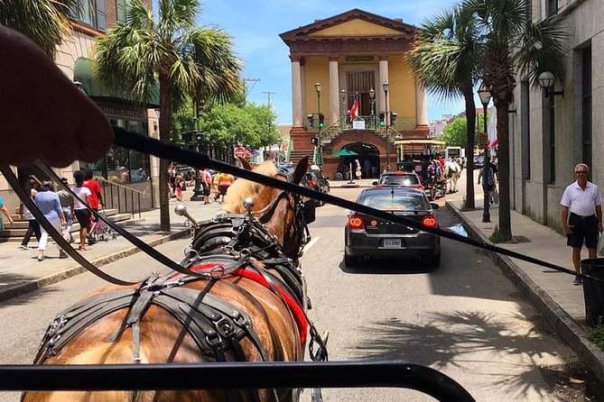 Charleston’s Old South Carriage Historic Horse & Carriage Tour - Meeting the Belgian and Percheron draft horses