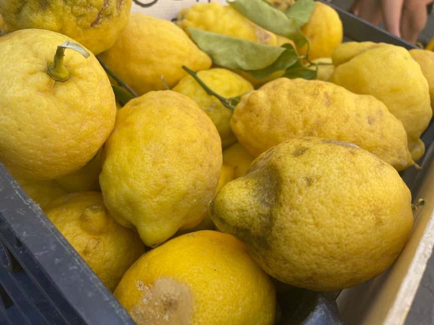 Civitavecchia: Historical and Culinary Walking Tour - Calamatta Square, Archetto, and the story between the bites