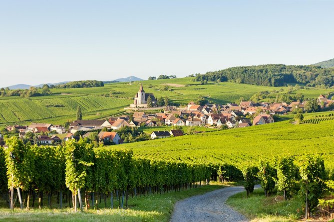 Colmar, Medieval Village & Castle Small Group from Strasbourg - The guide makes or breaks the day
