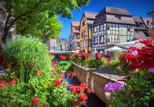 Colmar, Medieval Village & Castle Small Group from Strasbourg - Walking, comfort, and the Christmas tradeoff