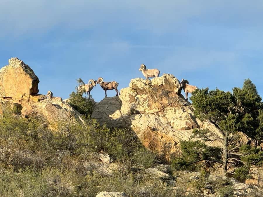 Colorado Springs: Garden of the Gods & Historic Town Tour - Starting in Cascade, not at Garden of the Gods