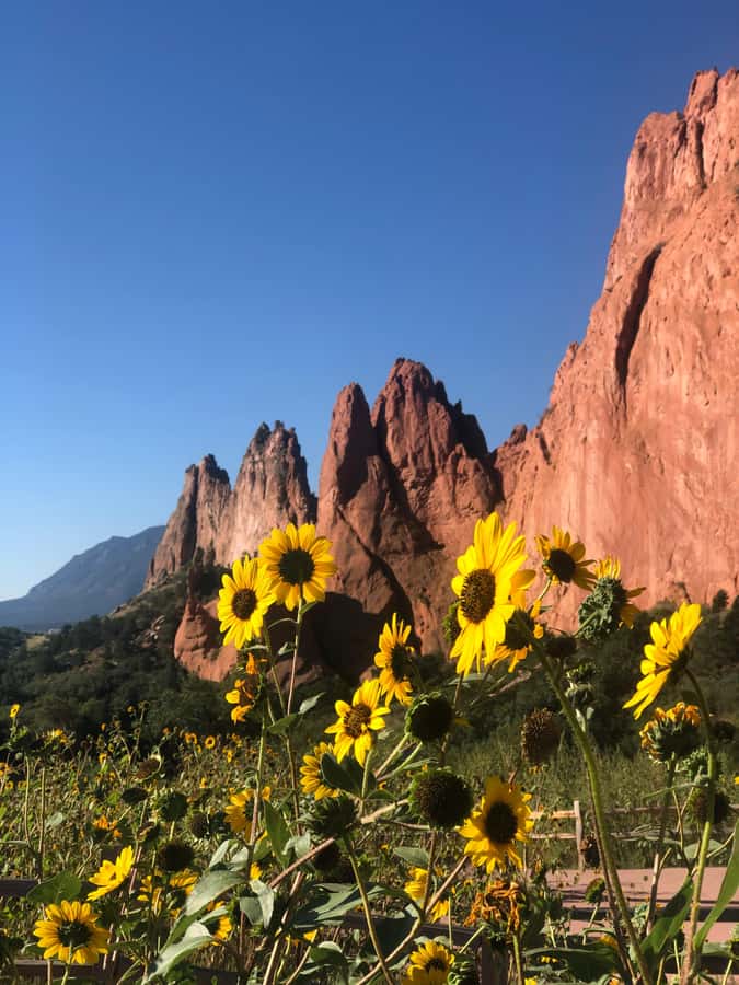 Colorado Springs: Garden of the Gods & Historic Town Tour - Rainbow Falls and the mineral springs