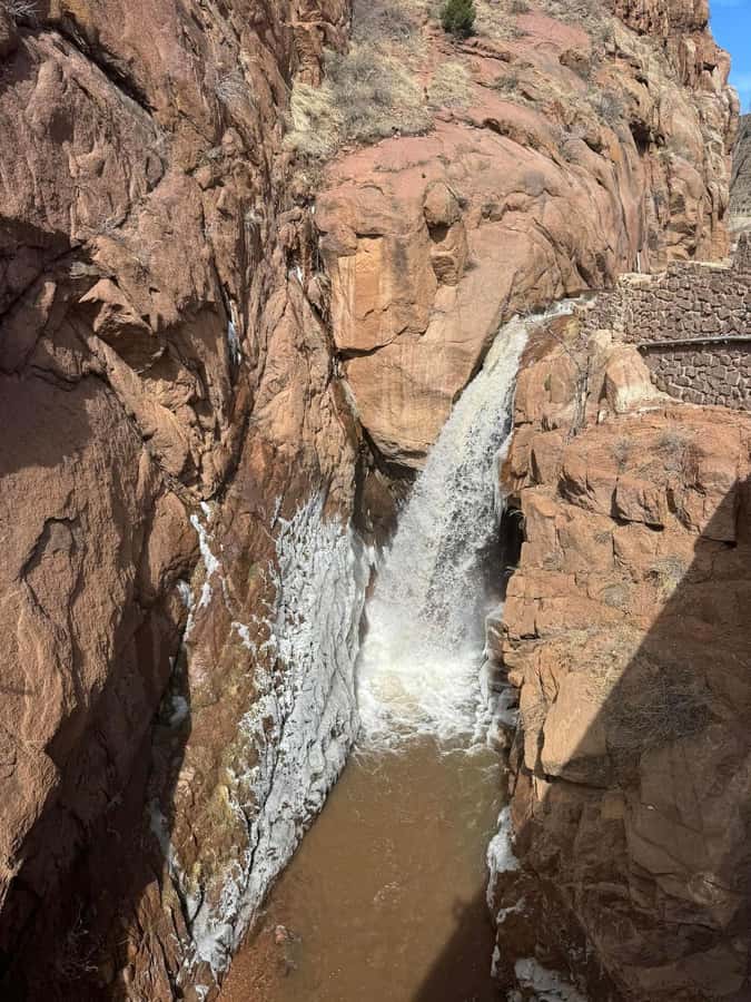 Colorado Springs: Garden of the Gods & Historic Town Tour - Wildlife, plants, and mountain scenery
